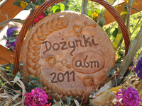 Doynki ABM w Brzenicy | 2011